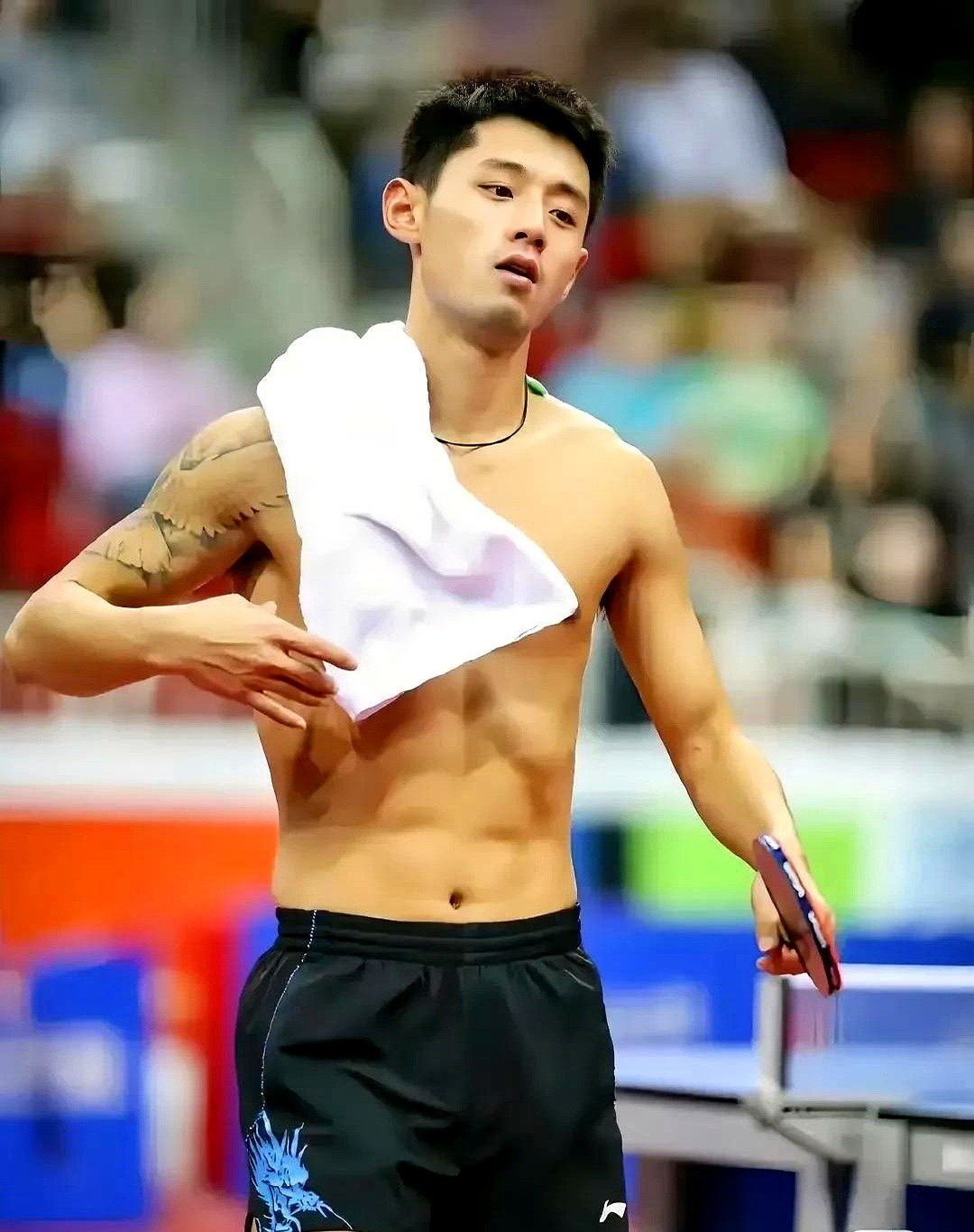 日本队逆转瑞典队，张继科刷新纪录