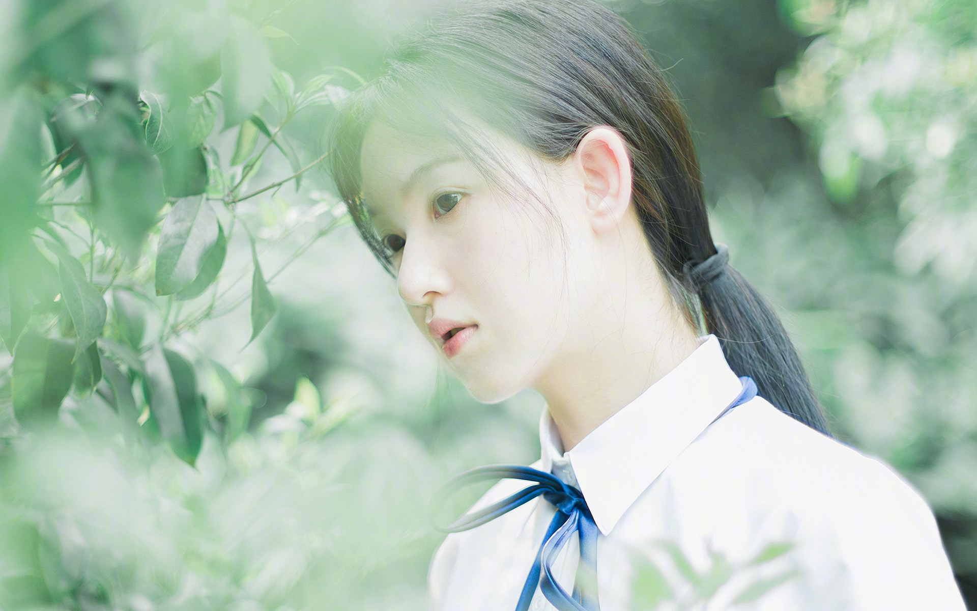 绞索美学,辽宁队如何将全面压制编织成唯一艺术