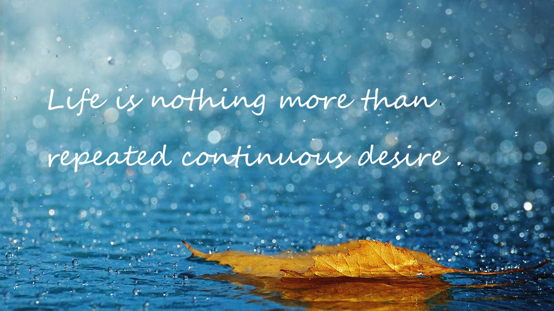 国王的最后一舞,当欧文在杭州的雨夜成为命运执笔人