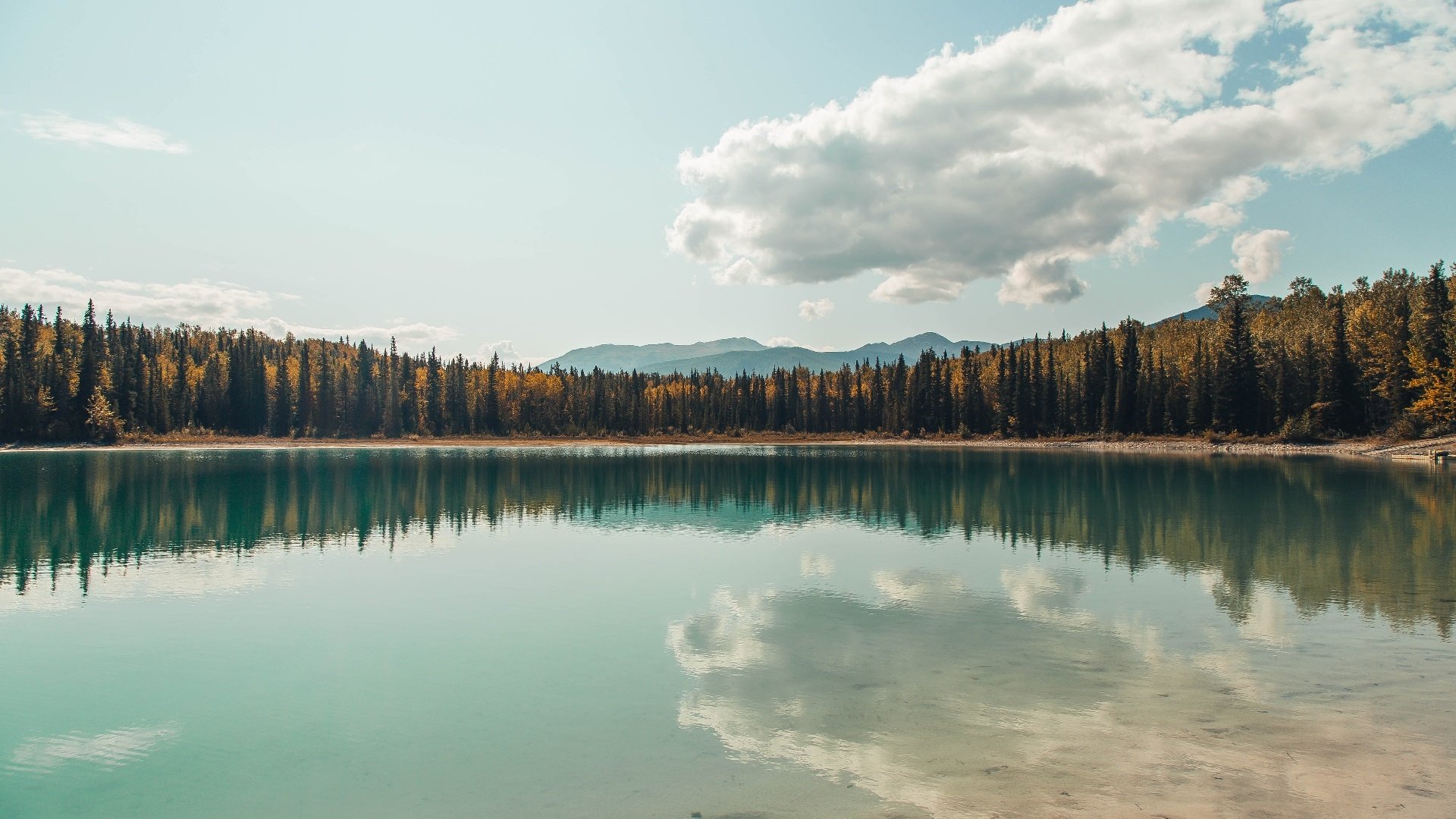 最后的回旋镖，杰伦格林斩落吉林之夜，将水货标签击得粉碎