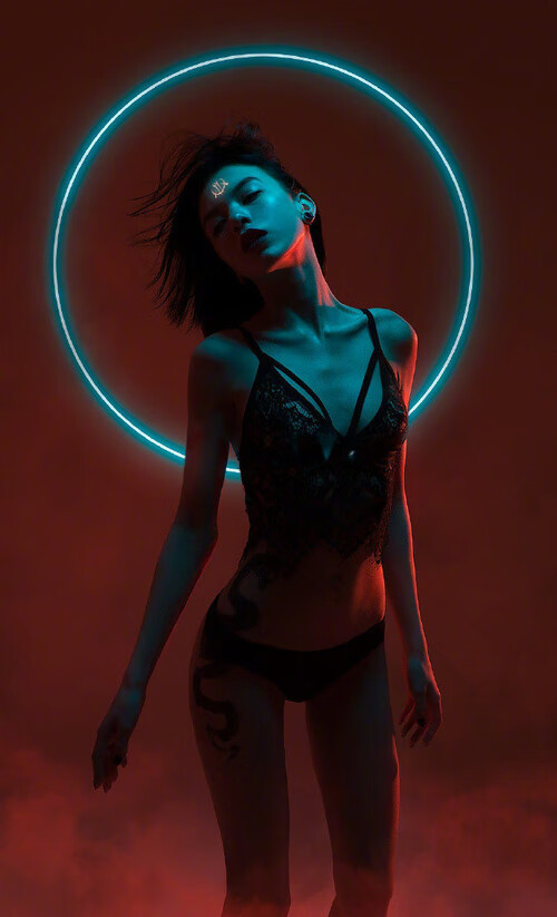 篮球智者之夜,当武切维奇的稳定跨越大西洋点亮德甲争冠战