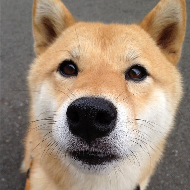 当卢卡库决定慢下来