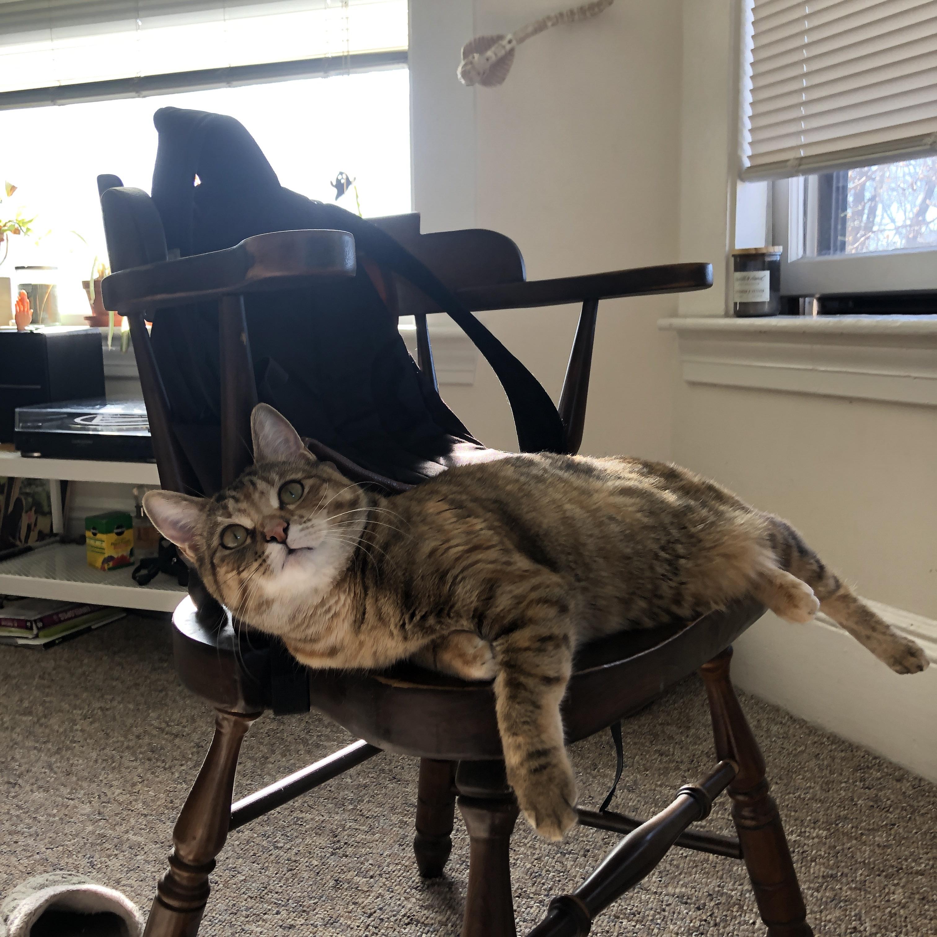 东方蓝调逆转奥兰多之夜，班凯罗破茧成蝶，上海队铸就铁血翻盘