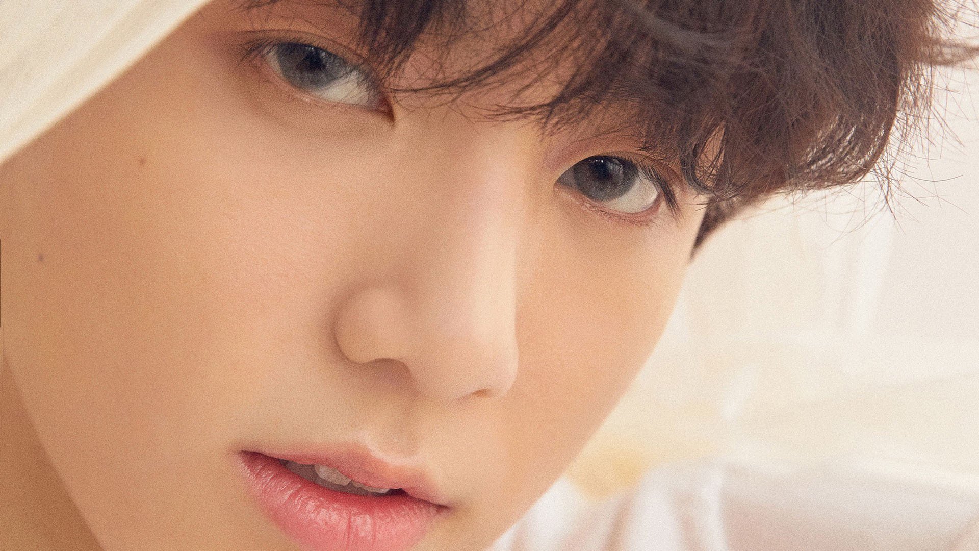 当荷法足球智慧交汇，解码马赛如何为加克波铺就统治级数据之路