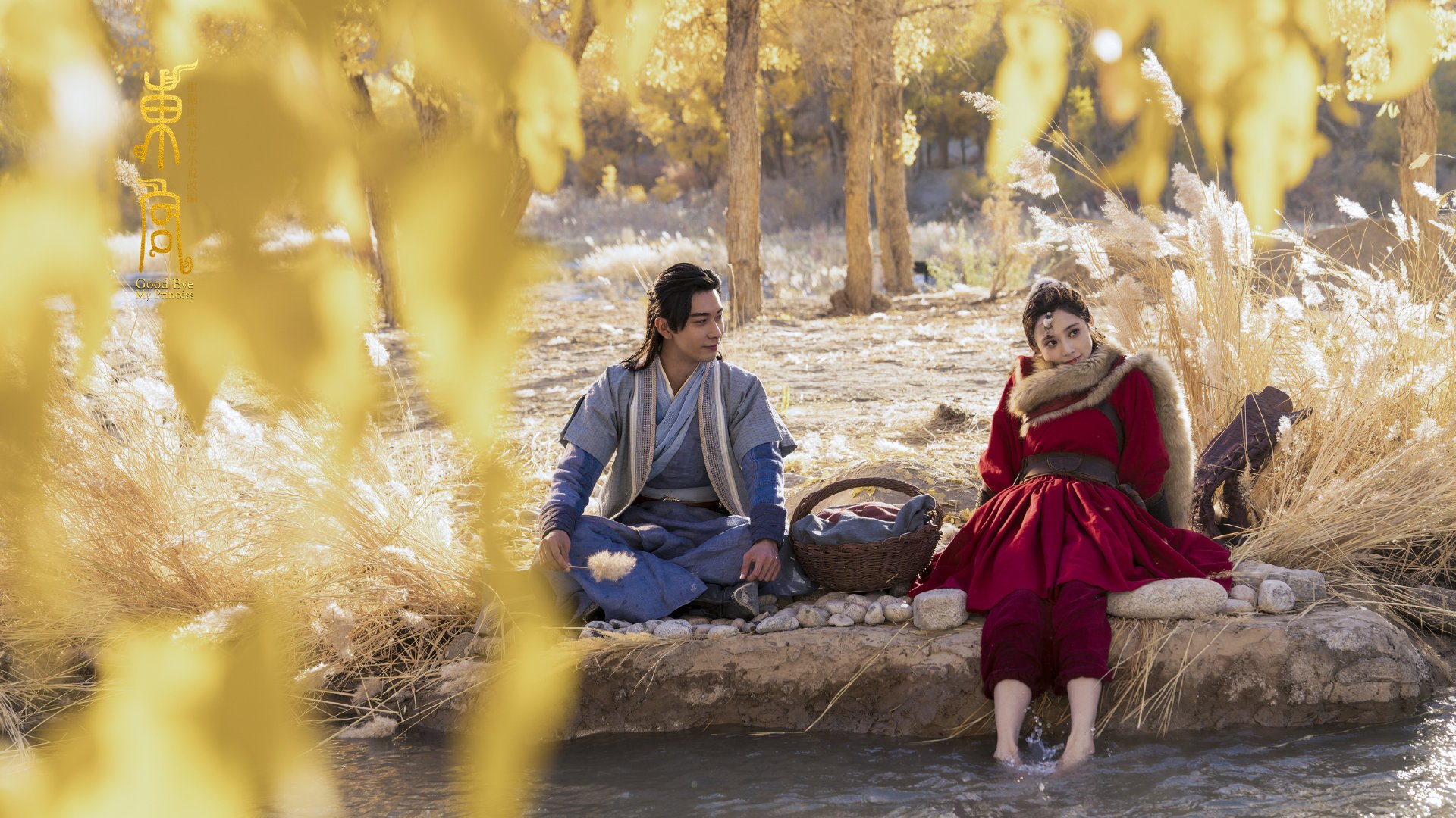 百年等待与一瞬终结，帕尔默的黄金之箭如何刺穿爱尔兰