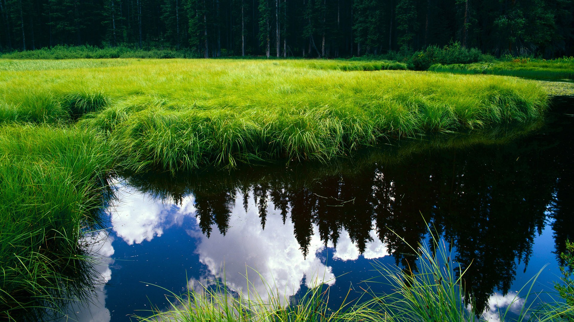 钢铁集群与迷失星光，伊朗的节奏锁链如何勒住韩国咽喉