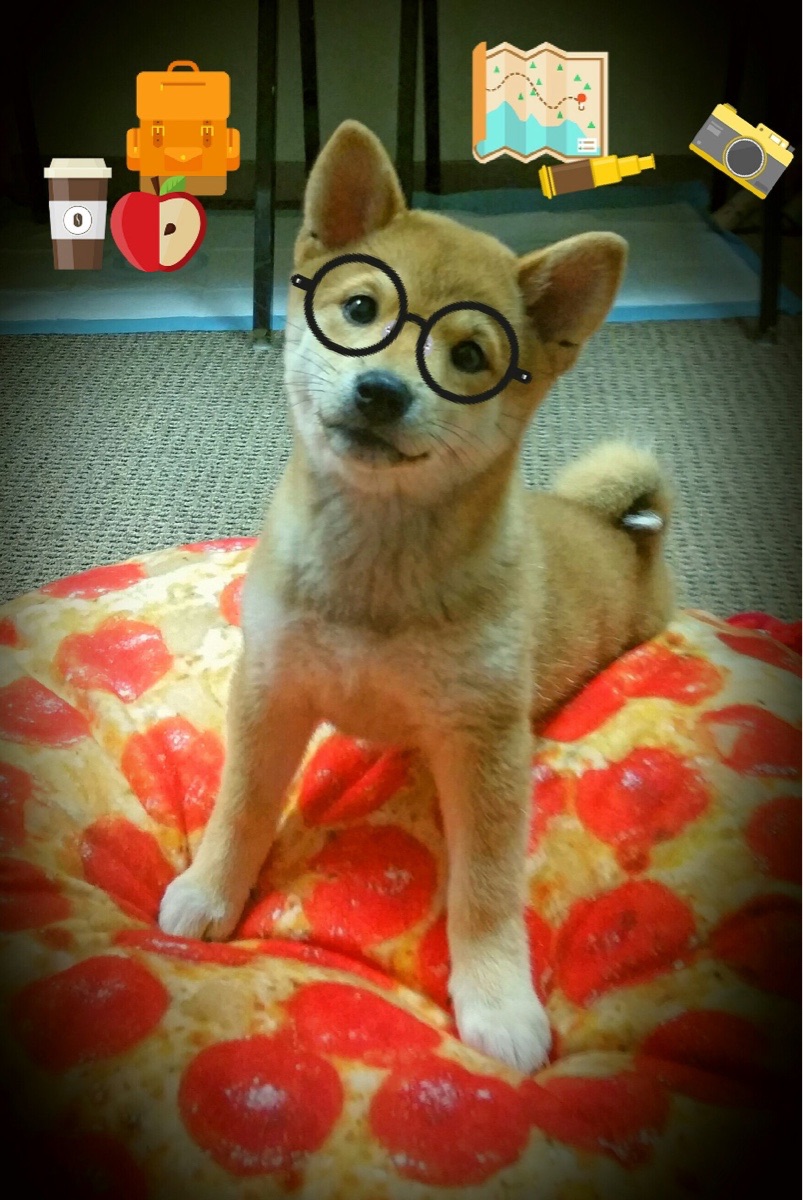 绿茵教科书，萨内在希腊对阵马赛一役中展现的完美进攻公式