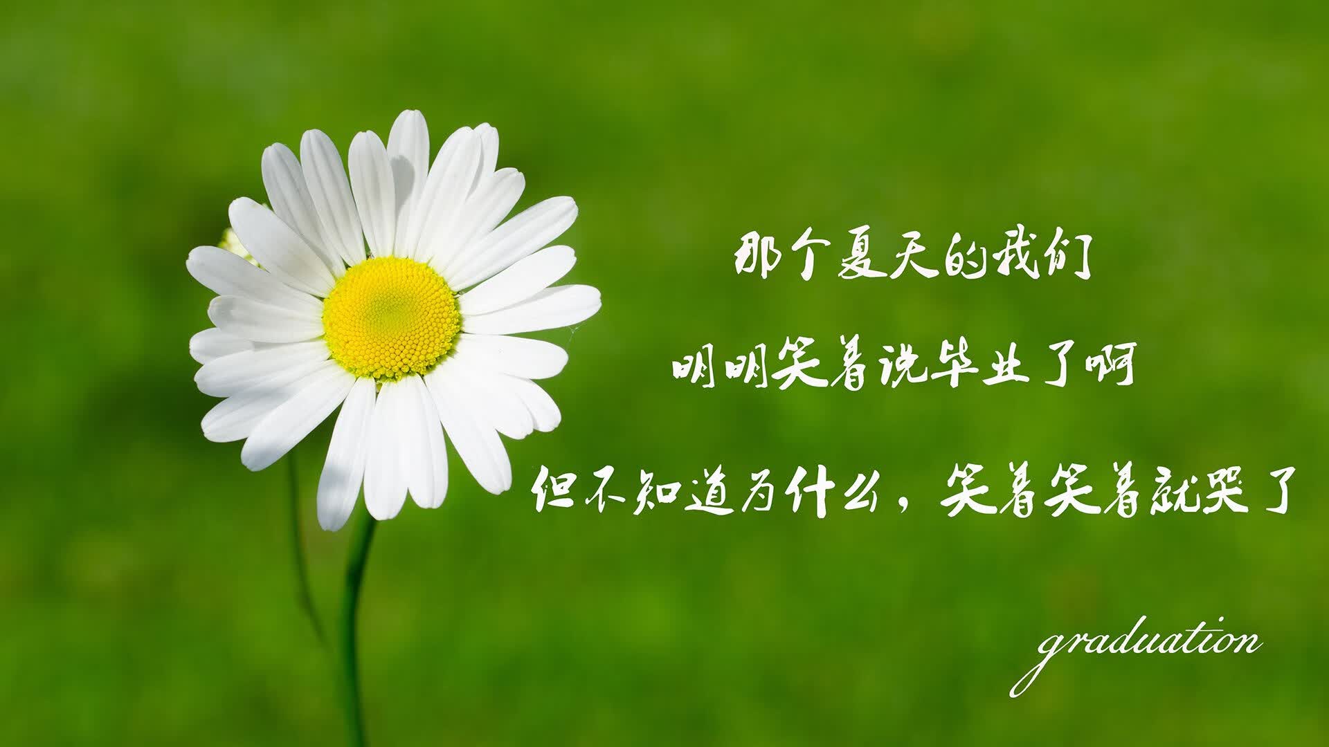 最昂贵的孤独，凯塞多数据爆炸夜，照亮切尔西的争冠余晖