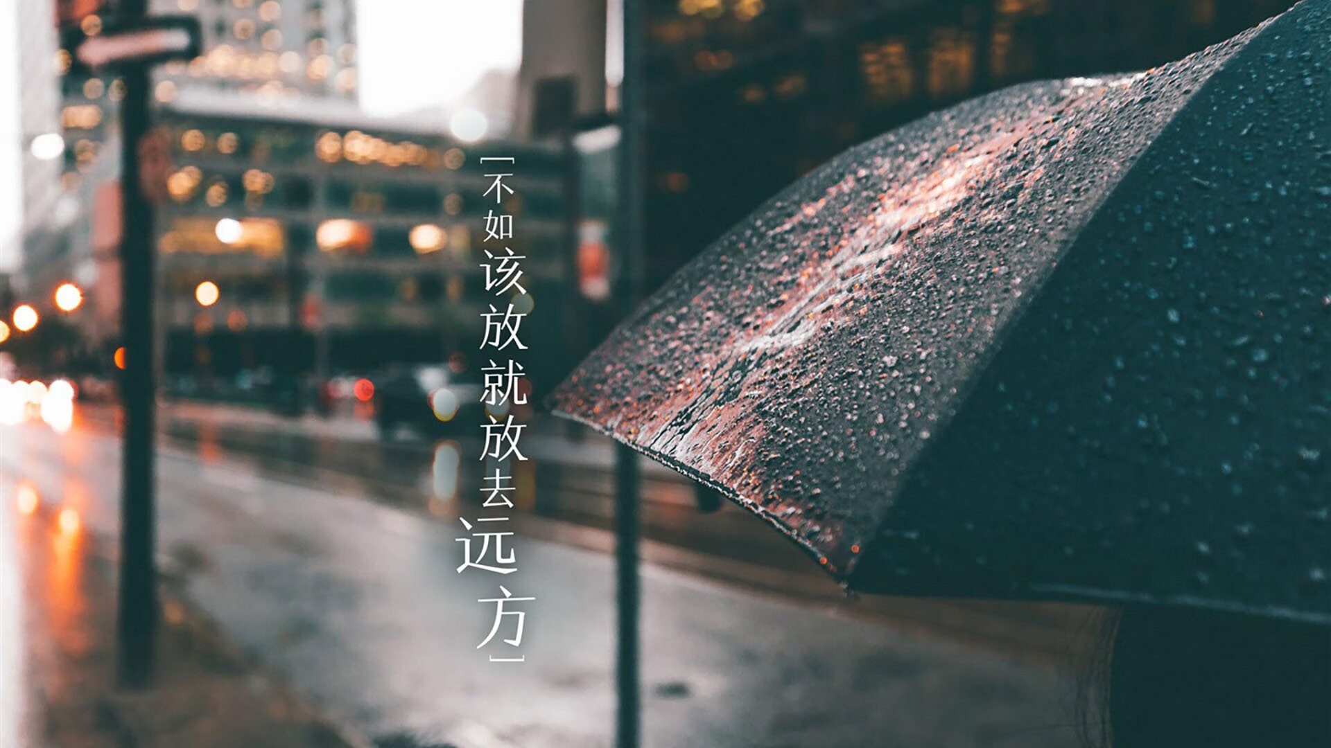 绿茵场的艺术，赛道上的速度，双重奏中的胜利法则