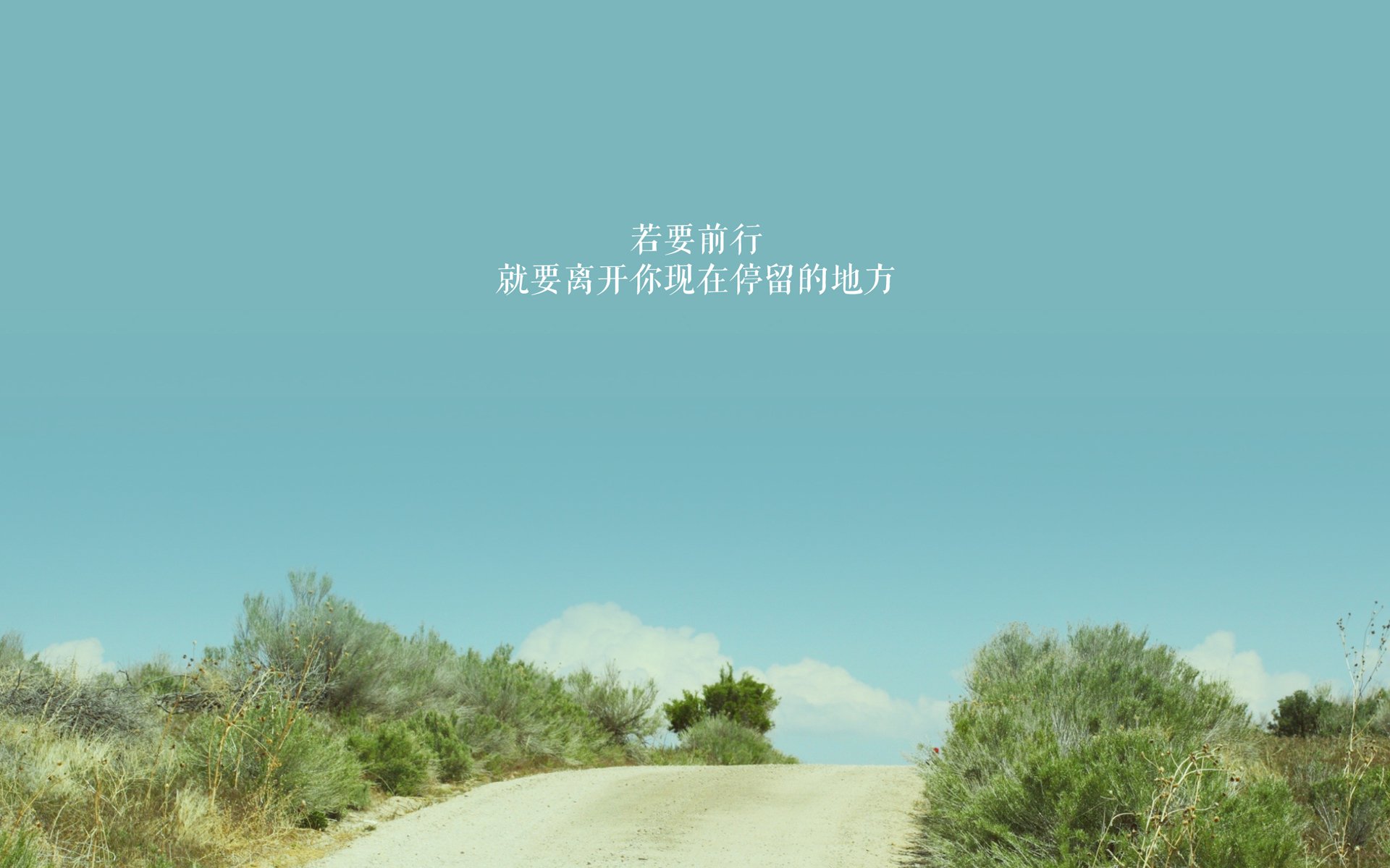 咆哮雄狮与沉默沙漠，当喀麦隆的狂野冲垮突尼斯的精密计算