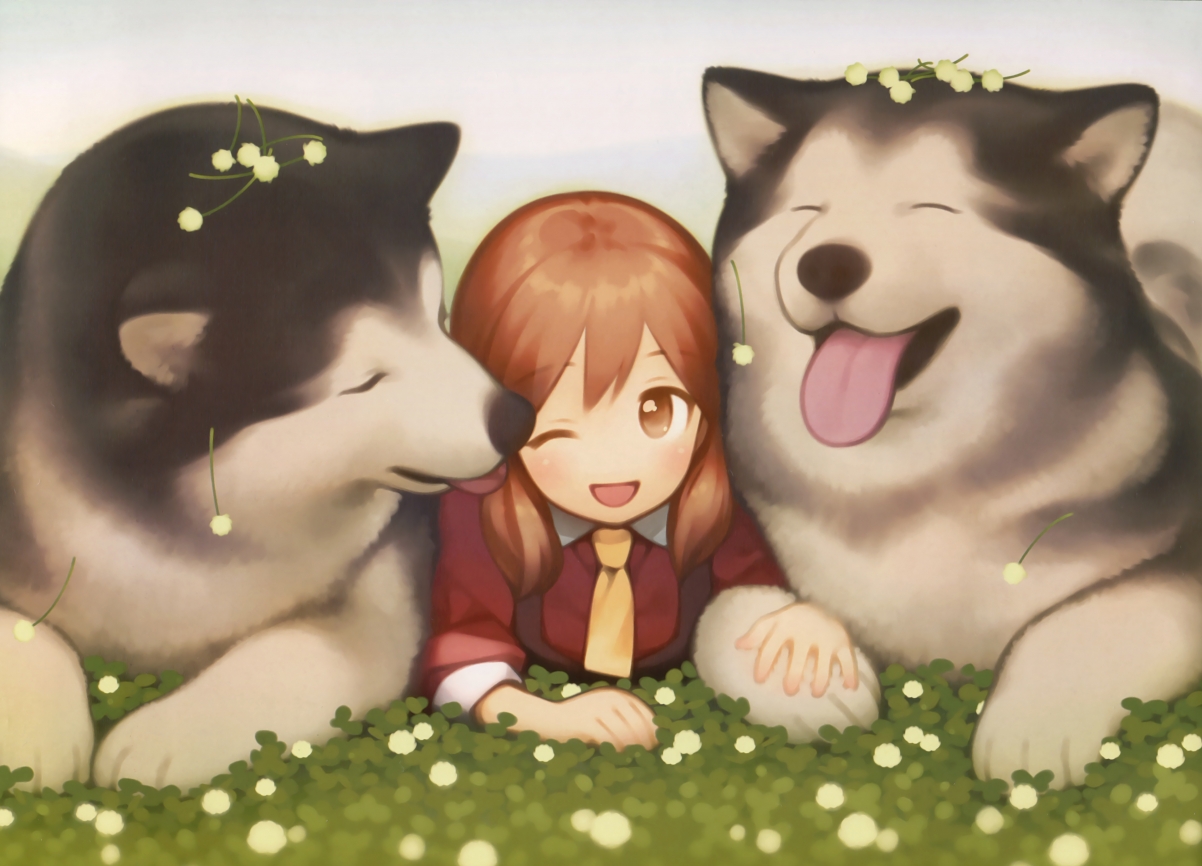 （三个备选）