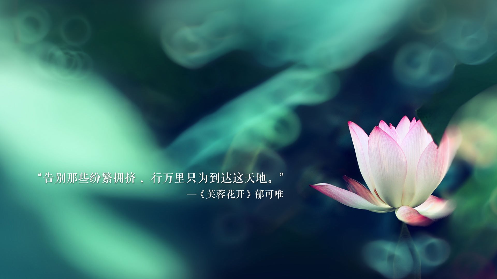 致命一击与不朽的棋局，当奥斯梅恩的绝杀，为高卢雄鸡的狂想曲谱写终章